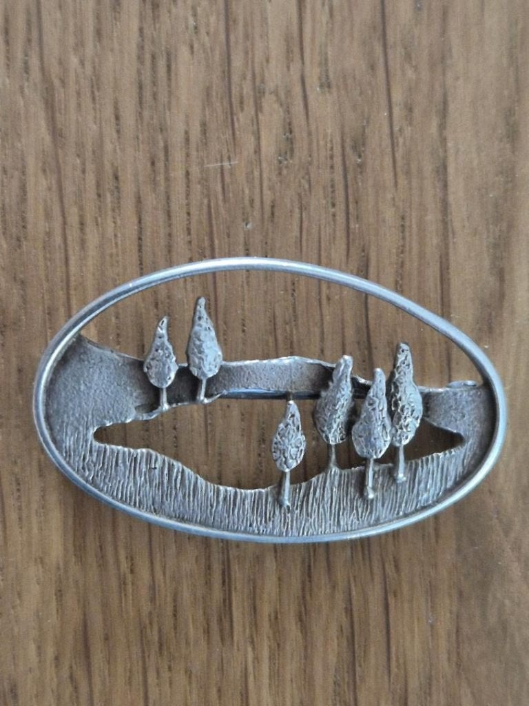 Zilveren broche, 4 tot 7 cm, Ophalen of Verzenden, Zo goed als nieuw, Zilver