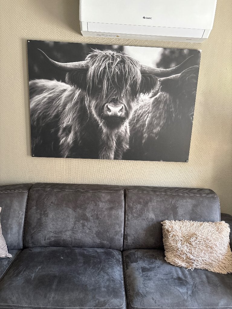 Schotse hooglander op aluminium, Ophalen, Gebruikt, Oorspronkelijke maker, 125 cm of meer