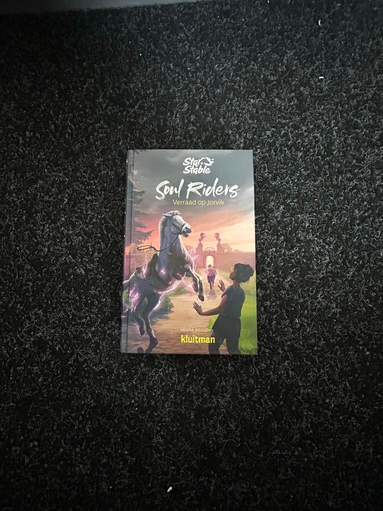 Helena Dahlgren - Verraad op Jorvik, Boeken, Kinderboeken | Jeugd | 10 tot 12 jaar, Ophalen, Helena Dahlgren, Zo goed als nieuw
