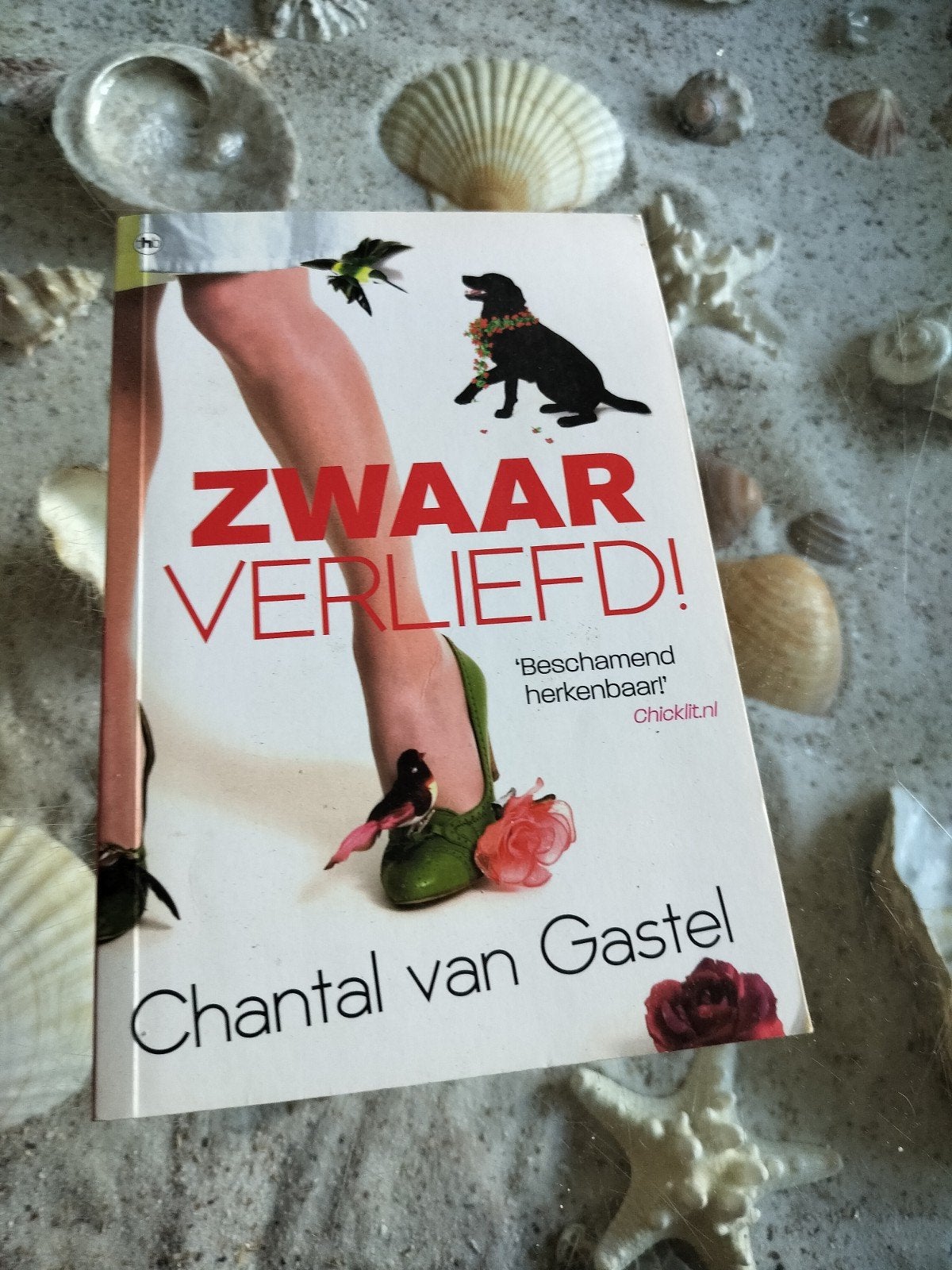 Chantal van Gastel - Zwaar verliefd, Boeken, Ophalen of Verzenden, Gelezen