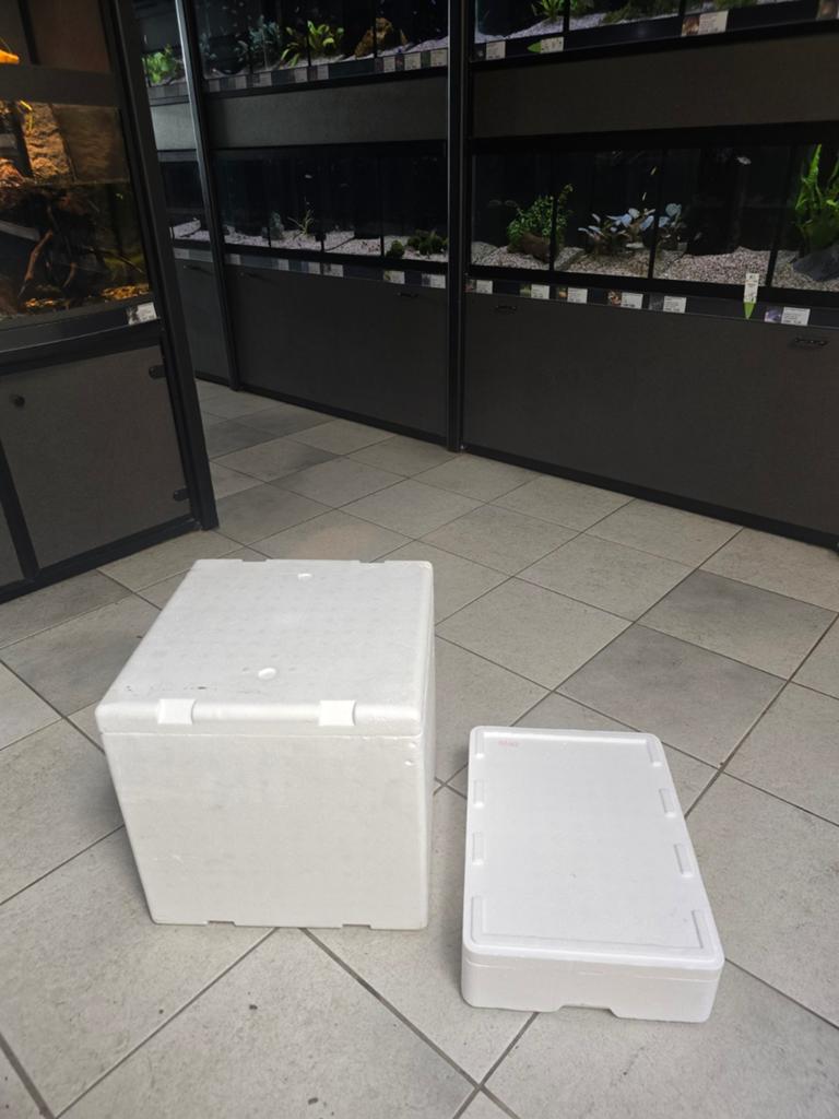 Piepschuim koelboxen, Hoeben, Ophalen of Verzenden, Zo goed als nieuw, Hoeben