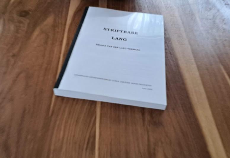 Striptease Lang - Het einde van Hoogovens Lang (2000), Ophalen of Verzenden, Zo goed als nieuw
