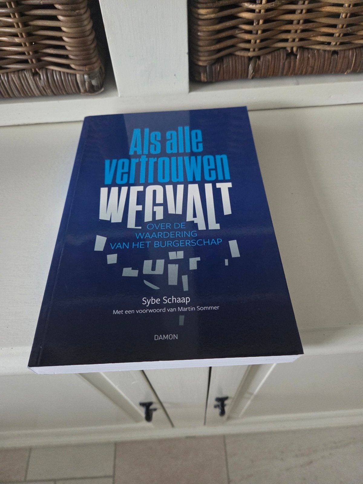 Sybe Schaap - Als alle vertrouwen wegvalt, Ophalen of Verzenden, Zo goed als nieuw, Sybe Schaap; Martin Sommer
