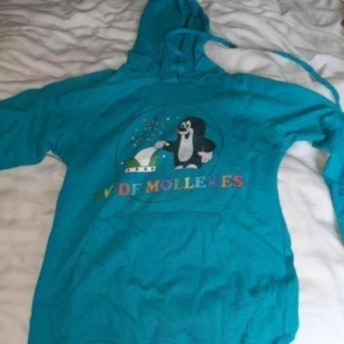 164 hoody, Verzenden, Gebruikt, Jongen of Meisje, Trui of Vest