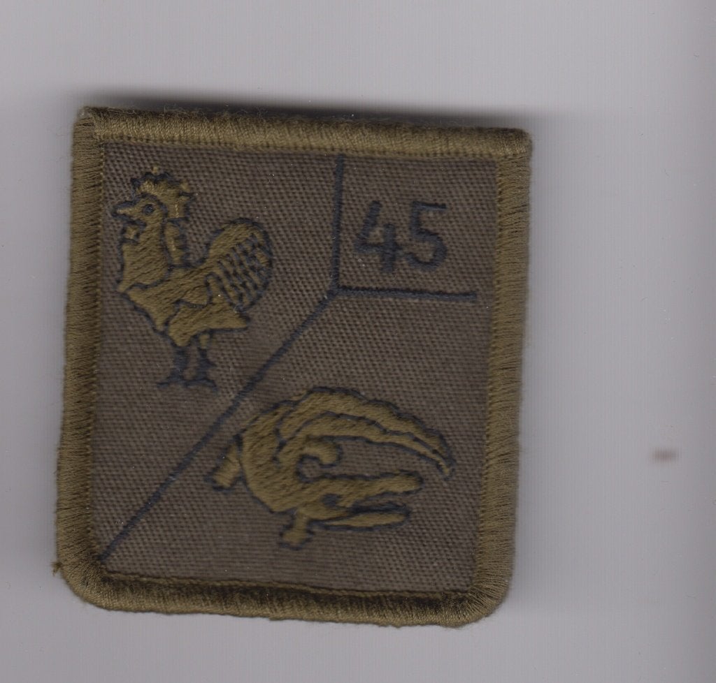 borstembleem 45 Painfbat Oranje Gelderland, Verzamelen, Ophalen of Verzenden, Landmacht, Nederland, Embleem of Badge