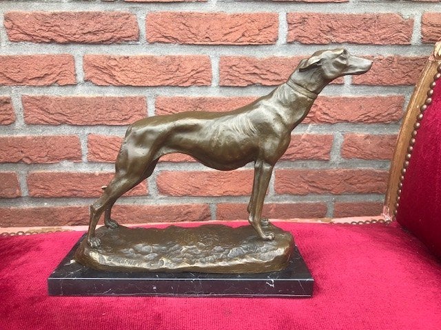 bronzen beeld van een trotse hazewindhond/ greyhound, Ophalen of Verzenden, Brons