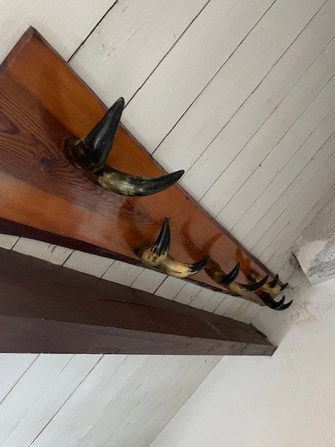 originele kapstok van koe hoorns breedte 170cm, Ophalen of Verzenden, Metaal, Staande kapstok, 150 tot 200 cm