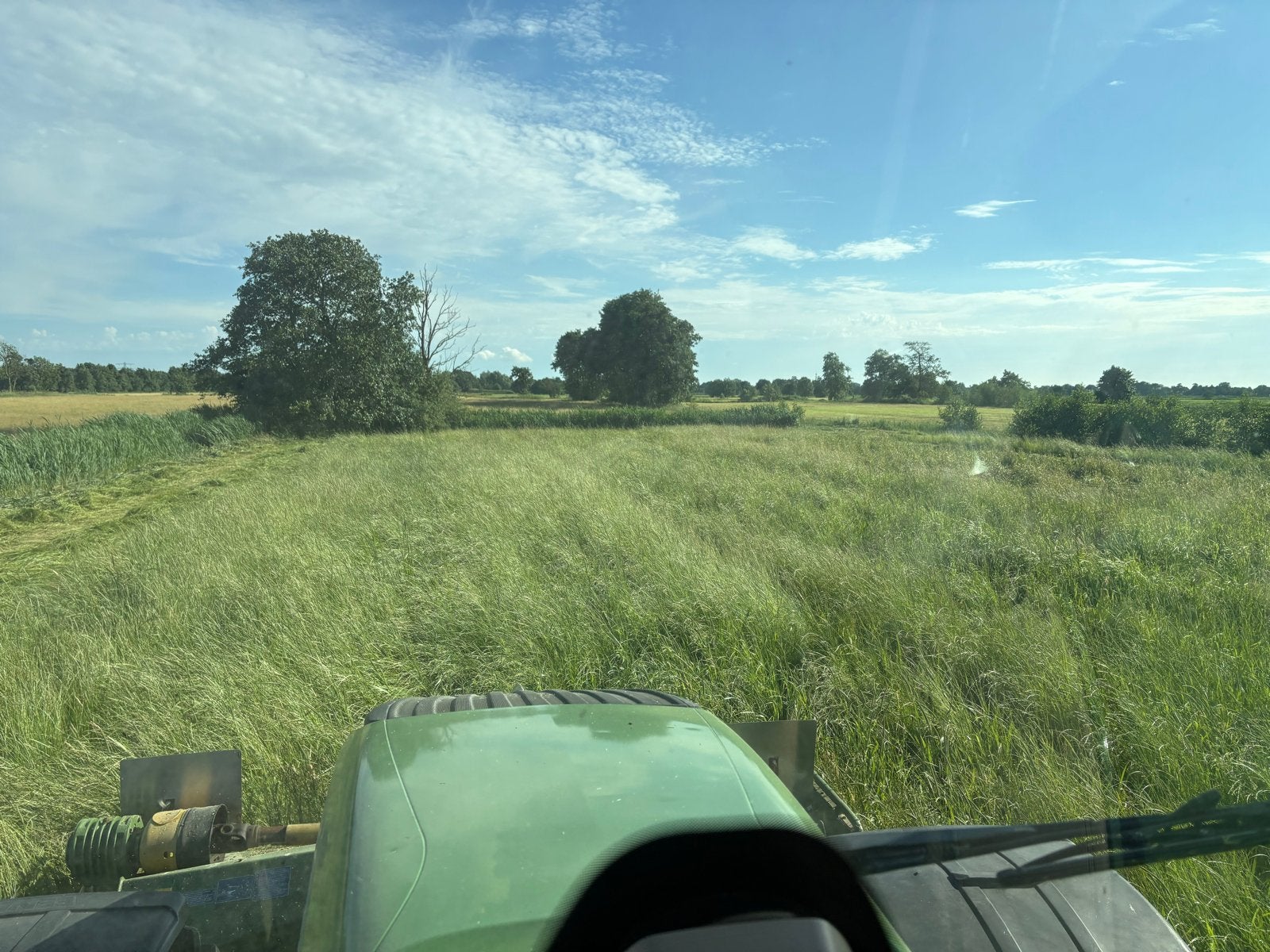 Ronde balen voordroog/paardenhooi, Dieren en Toebehoren, Dierenvoeding, Ophalen, Vee