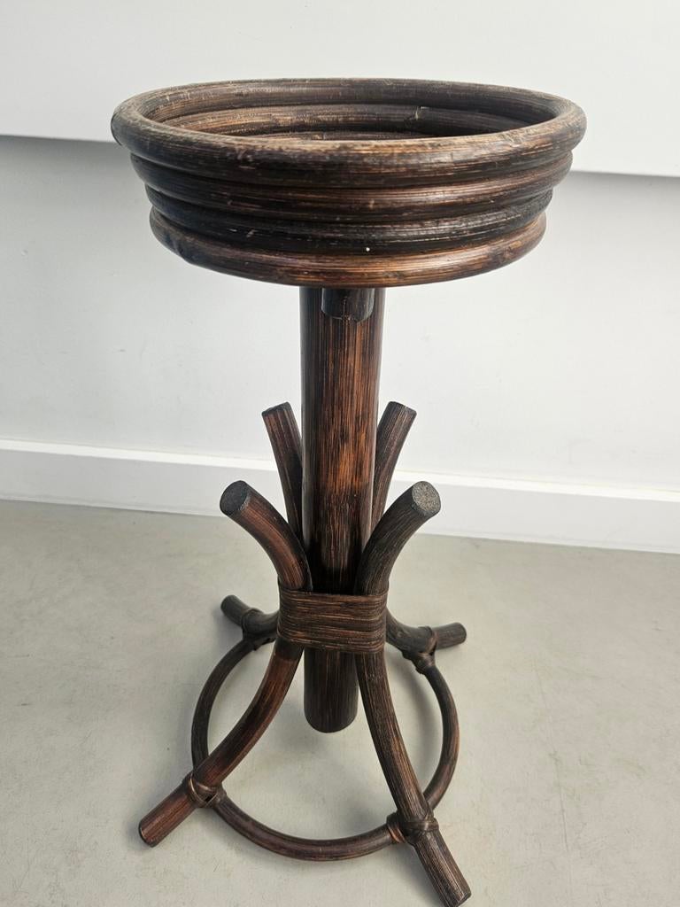 Vintage Plantentafeltje Thonet stijl, Ophalen of Verzenden, Halfschaduw, Minder dan 100 cm