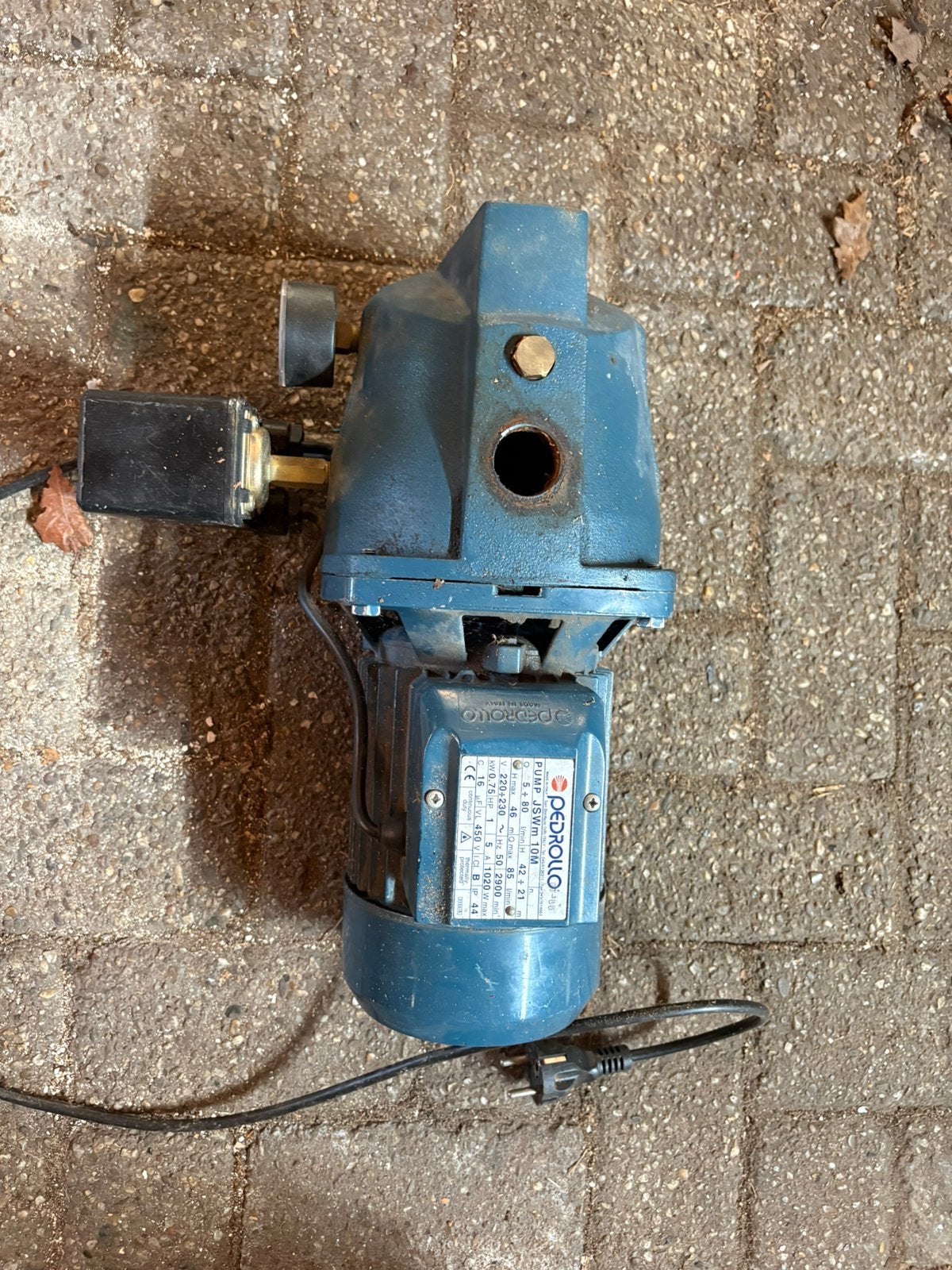 Pedrollo JSWm 10M berenegingspomp, Tuin en Terras, Waterpompen, Ophalen, Gebruikt, Elektrisch, Beregeningspomp