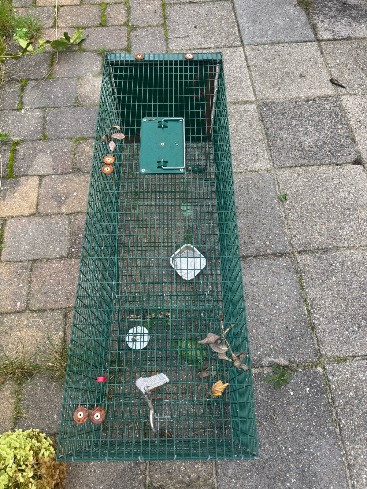 Grote Vangkooi, Ophalen