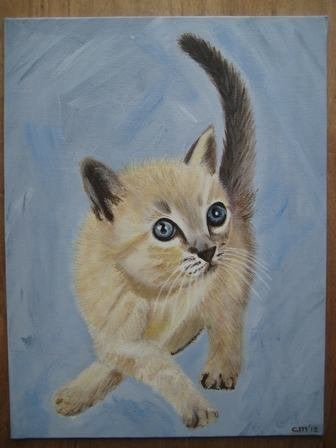 Schilderij Playing Kitten (30 x 40 cm.), Ophalen, Minder dan 50 cm, Oorspronkelijke maker, Nieuw