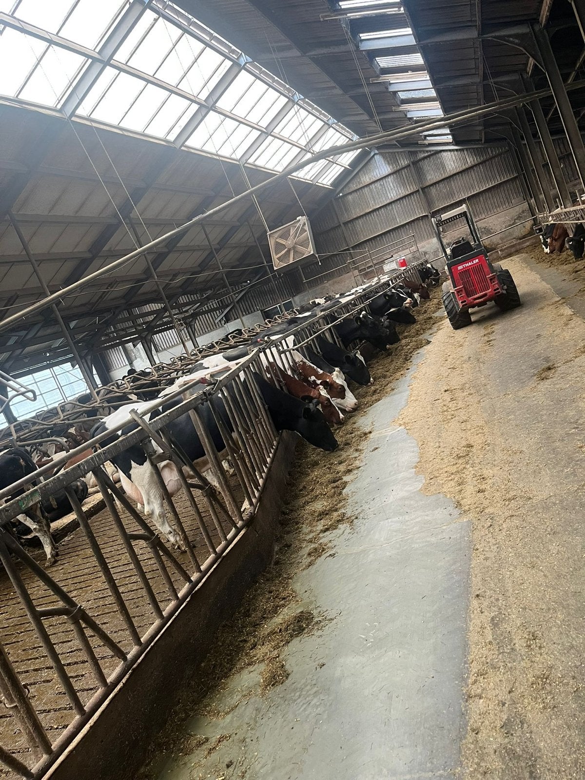 70+ Meter Voerhek, Dieren en Toebehoren, Stalling en Weidegang
