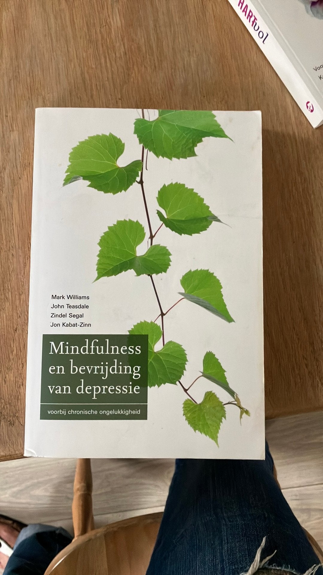 Mindfulness en bevrijding van depressie, Boeken, Ophalen of Verzenden, Beta, Gelezen, HBO