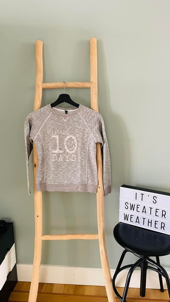 Little 10 Days sweater maat 10y grijs, Kinderen en Baby's, Ophalen of Verzenden, Zo goed als nieuw, Jongen of Meisje, Trui of Vest