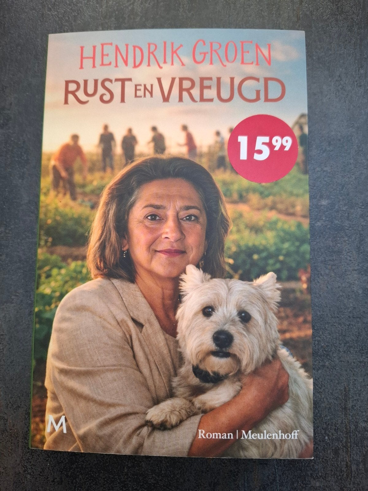 Hendrik Groen - Rust en Vreugd, nieuw!, Ophalen of Verzenden, Zo goed als nieuw, Hendrik Groen