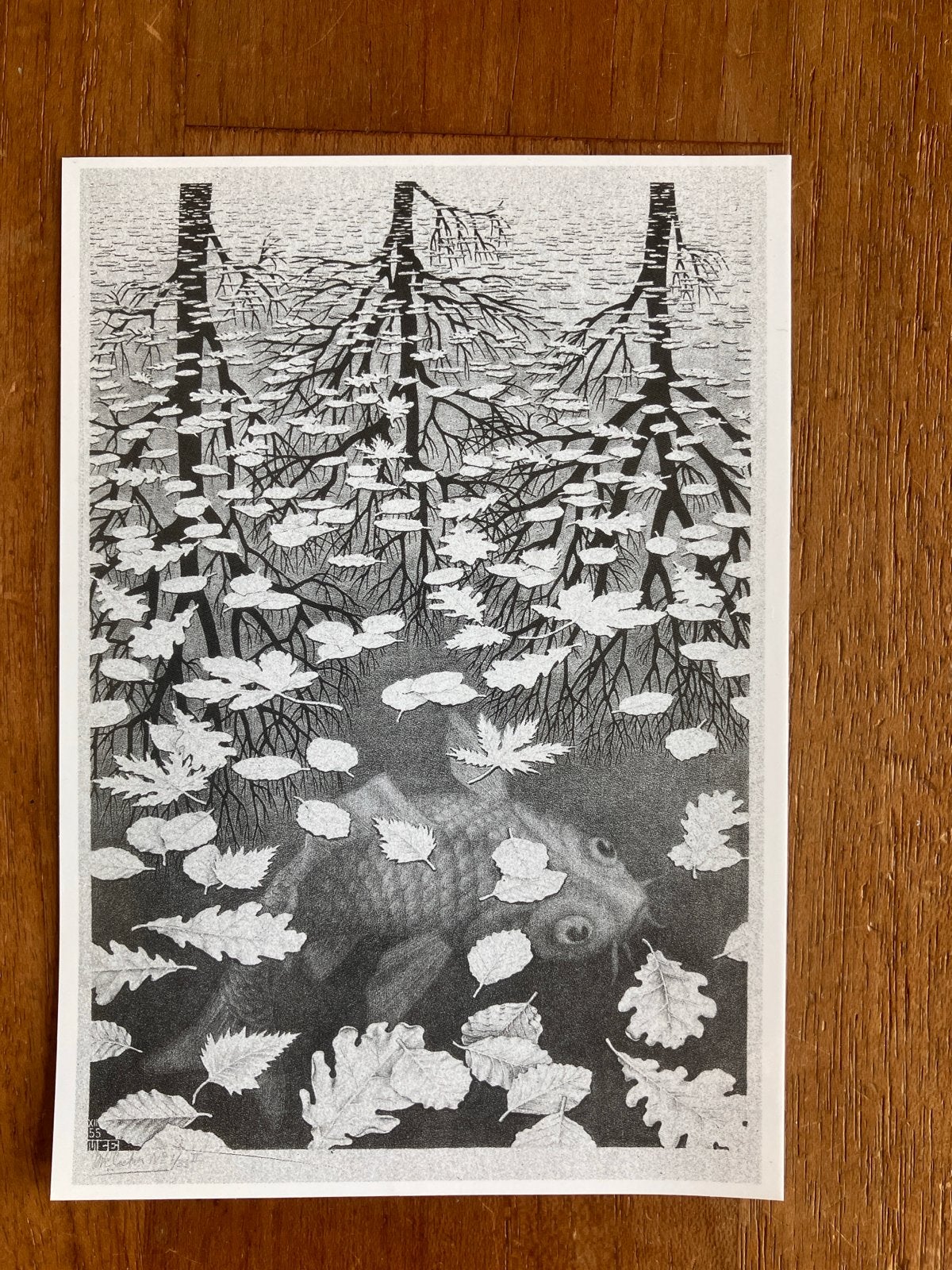 M.C. Escher - Drie Werelden (Three Worlds) uit 1955, Ophalen of Verzenden, 1980 tot heden, Ongelopen, Natuur