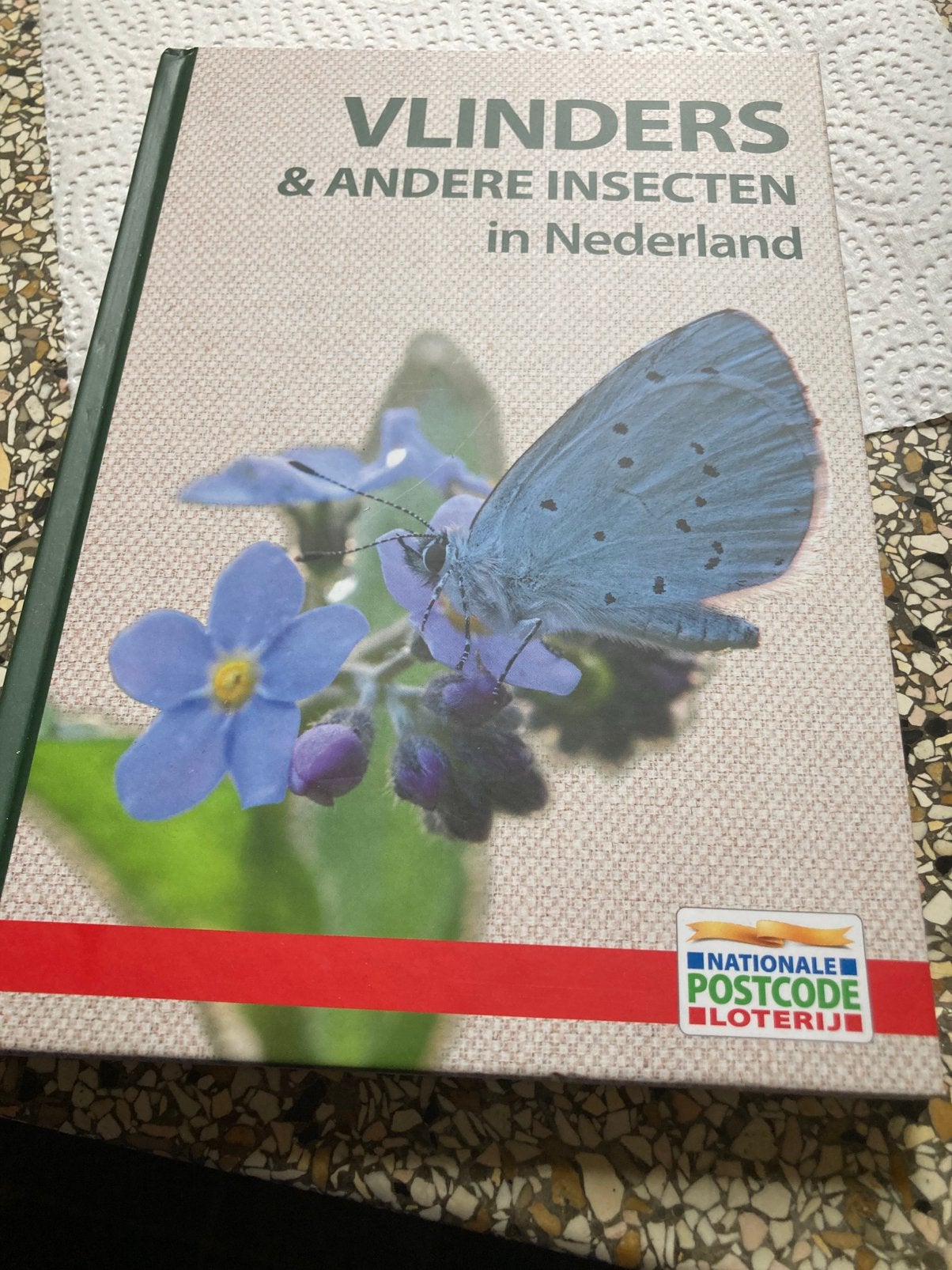 Boek vlinders, Ophalen of Verzenden, Zo goed als nieuw, Natuur algemeen