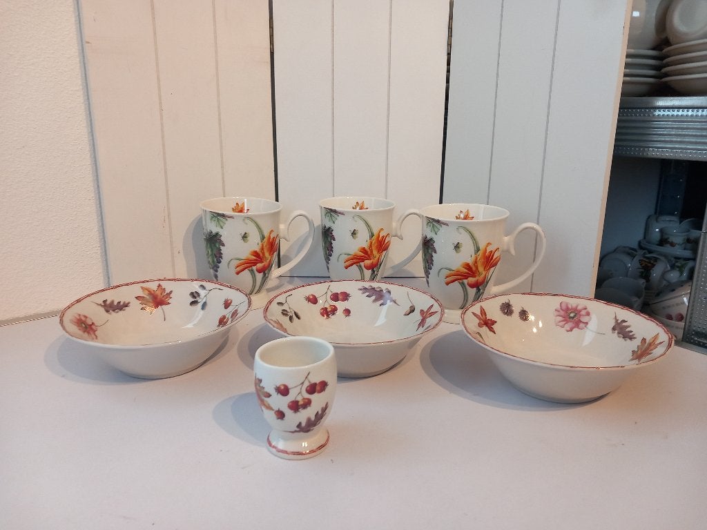 JBS servies Seasons., Keramiek, Overige typen, Ophalen of Verzenden, Zo goed als nieuw