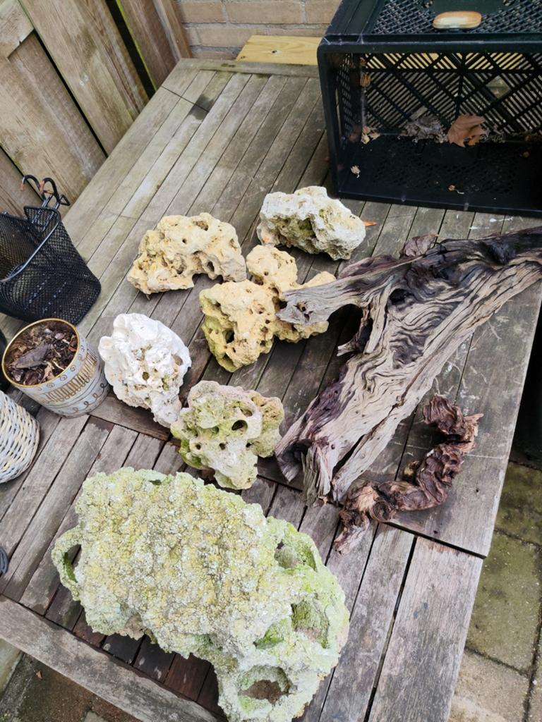 Aquarium stenen, Dieren en Toebehoren, Ophalen, Plant(en), Steen of Hout
