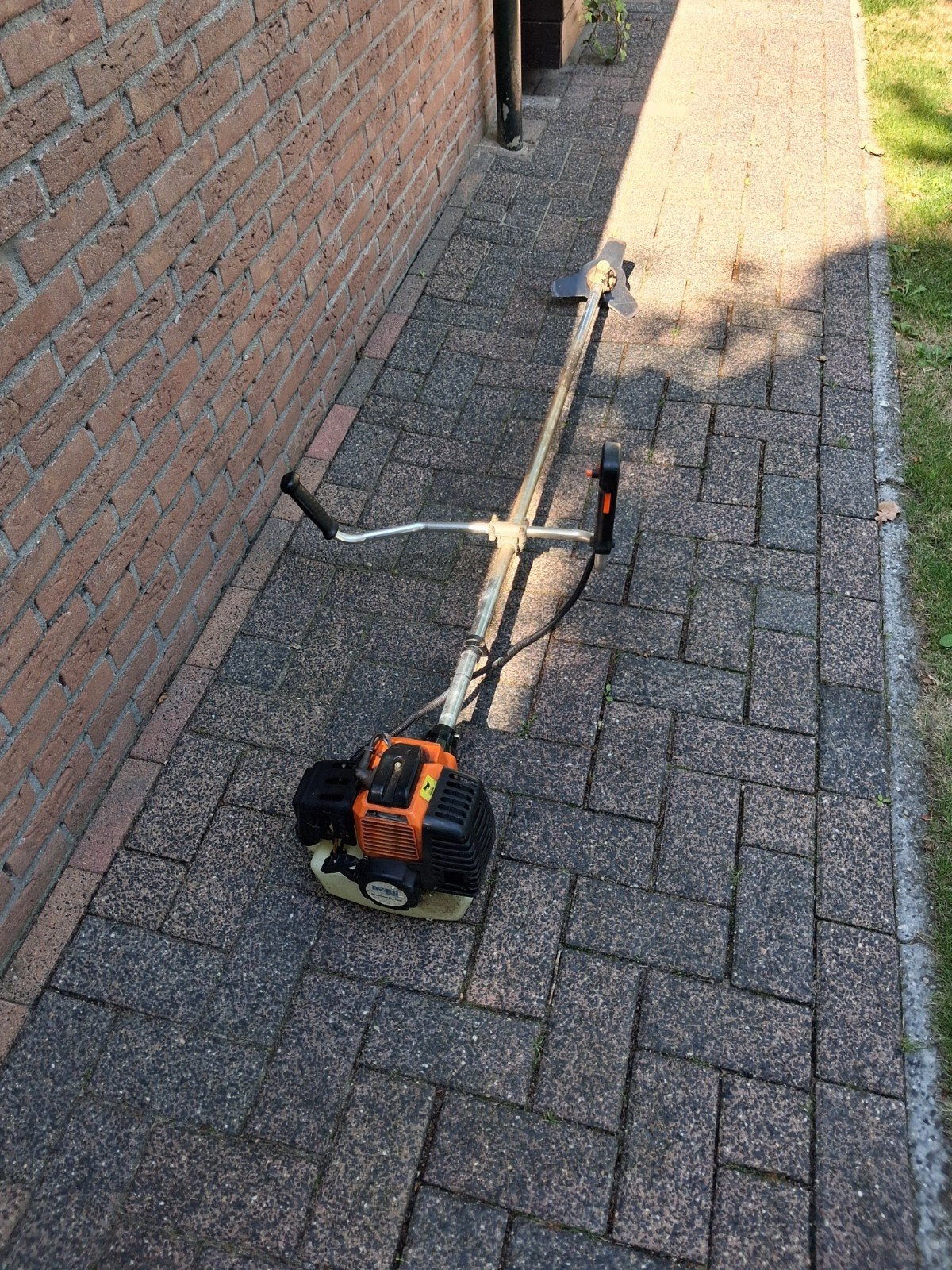 bosmaaier, Ophalen, Gebruikt, Benzine, Borg