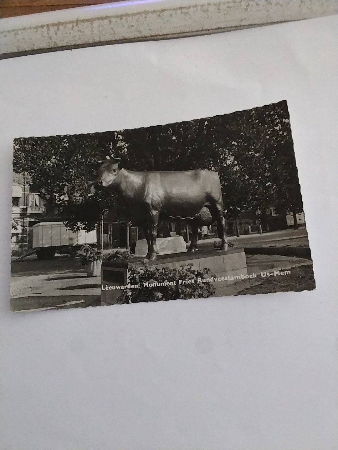 Oude ansichtkaart Leeuwarden: Monument Fries Rundveestamboek, Ophalen of Verzenden, Friesland