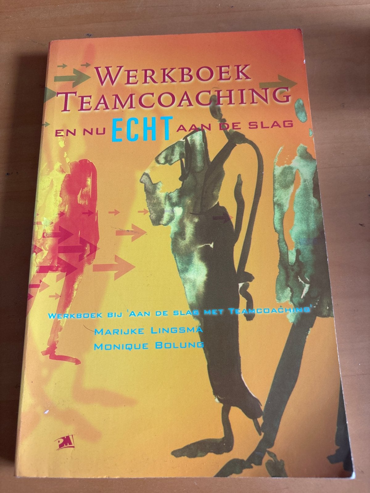Werkboek Teamcoaching - Marijke Lingsma & Monique Bolung, Verzenden, Gelezen