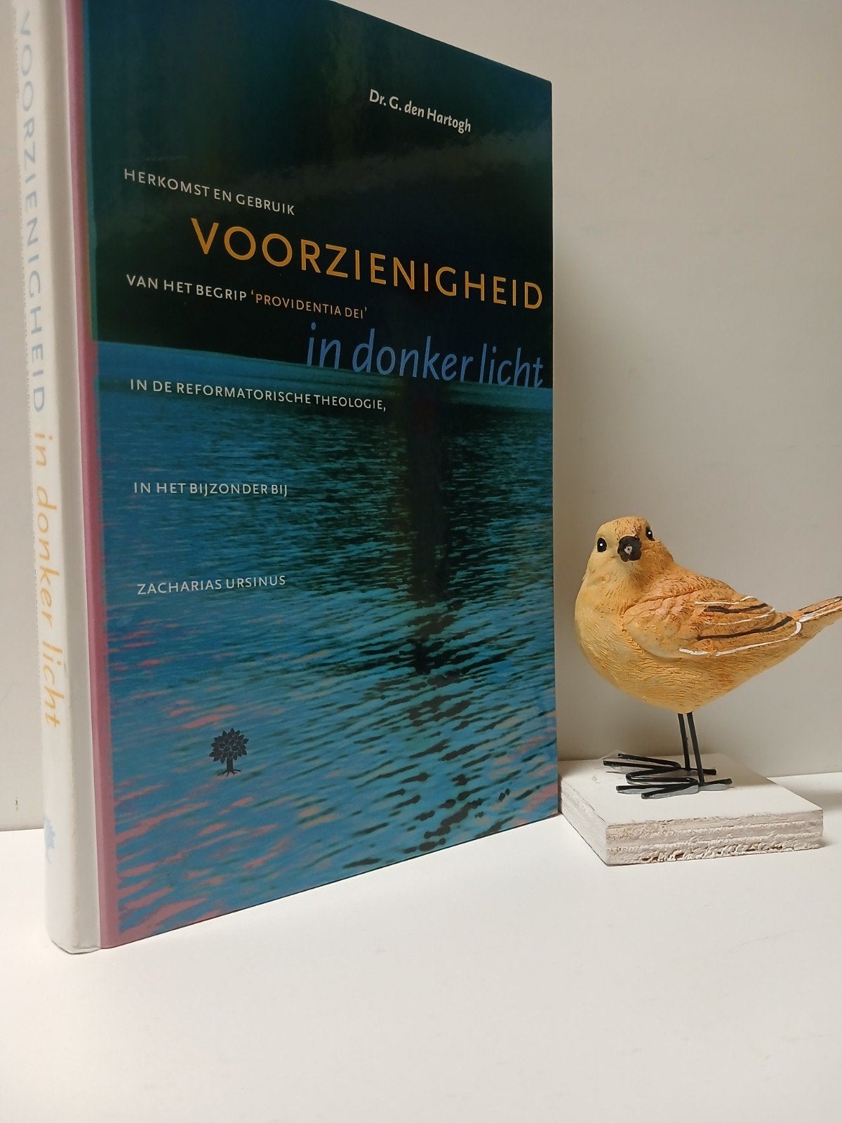 Hartogh, Dr. G. den; Voorzienigheid in donker licht, Ophalen of Verzenden, Gelezen, Christendom | Protestants