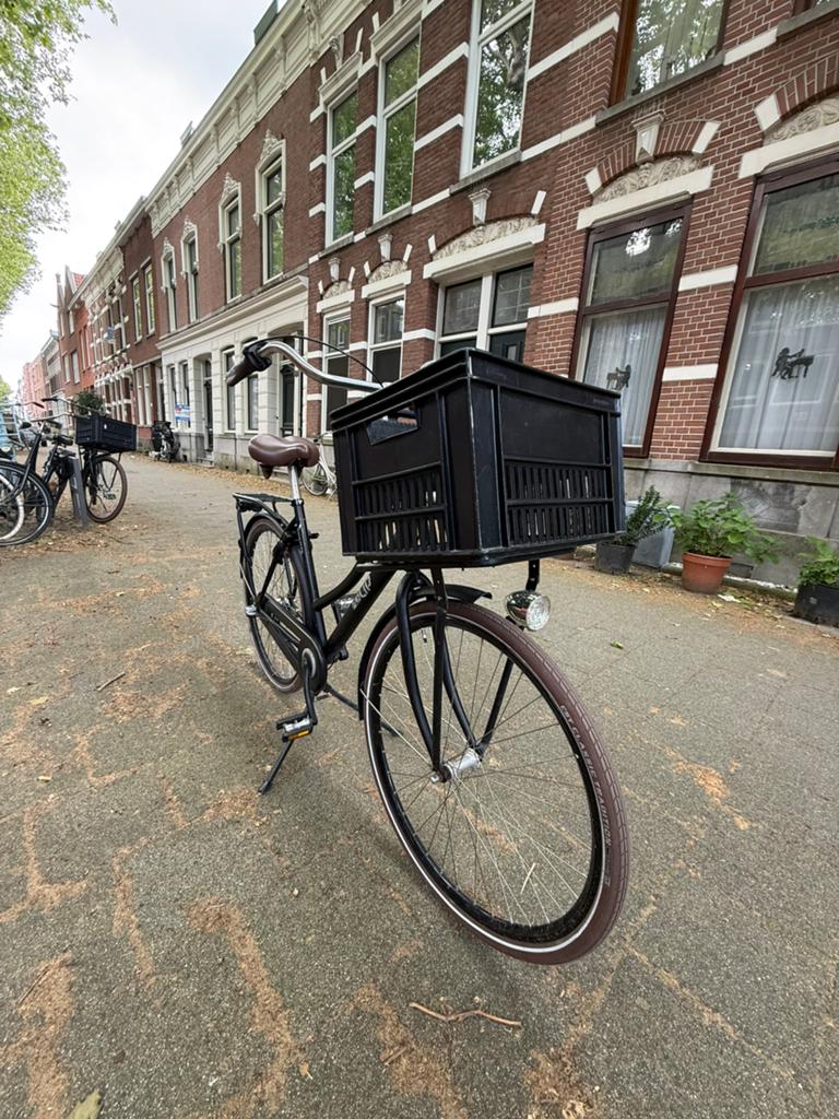 Dames fiets met krat, Fietsen en Brommers, Ophalen, Gebruikt, Overige merken