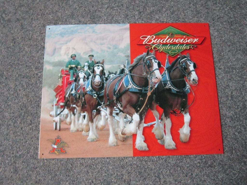 BUDWEISER BLIKKEN RECLAMEBORD, Ophalen, Zo goed als nieuw, Reclamebord, Plaat of Schild, Overige merken