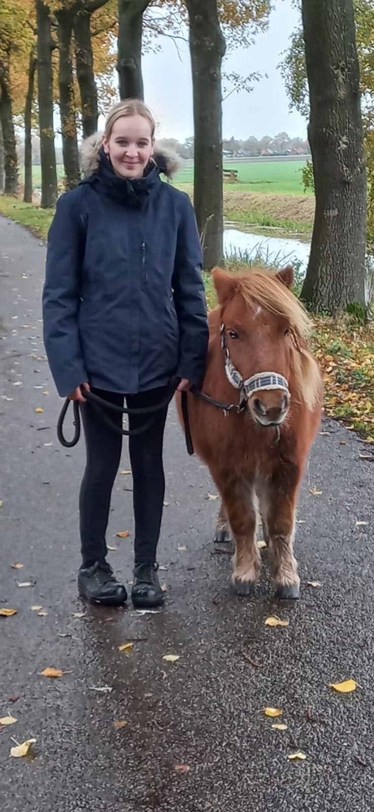 gez. stukje  grond  /wei. voor  2  shetlandertjes ., Ophalen