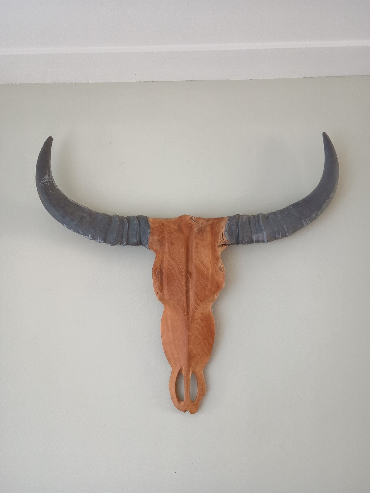 buffelschedel met hoorns - wanddecoratie - De Boet, Huis en Inrichting, Ophalen, Overige typen, Zo goed als nieuw, Minder dan 100 cm