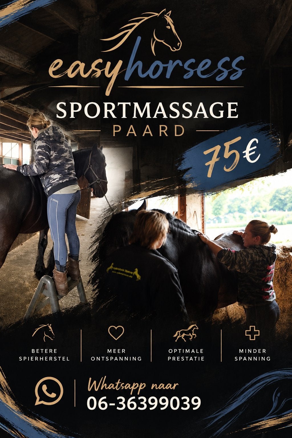 (Sport) massag paard en infrarood, Ophalen of Verzenden, Nieuw, Dressuur