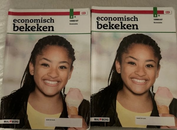 Economie boeken 3 vmbo-GT, Malmberg, Economie, Ophalen of Verzenden, Gelezen