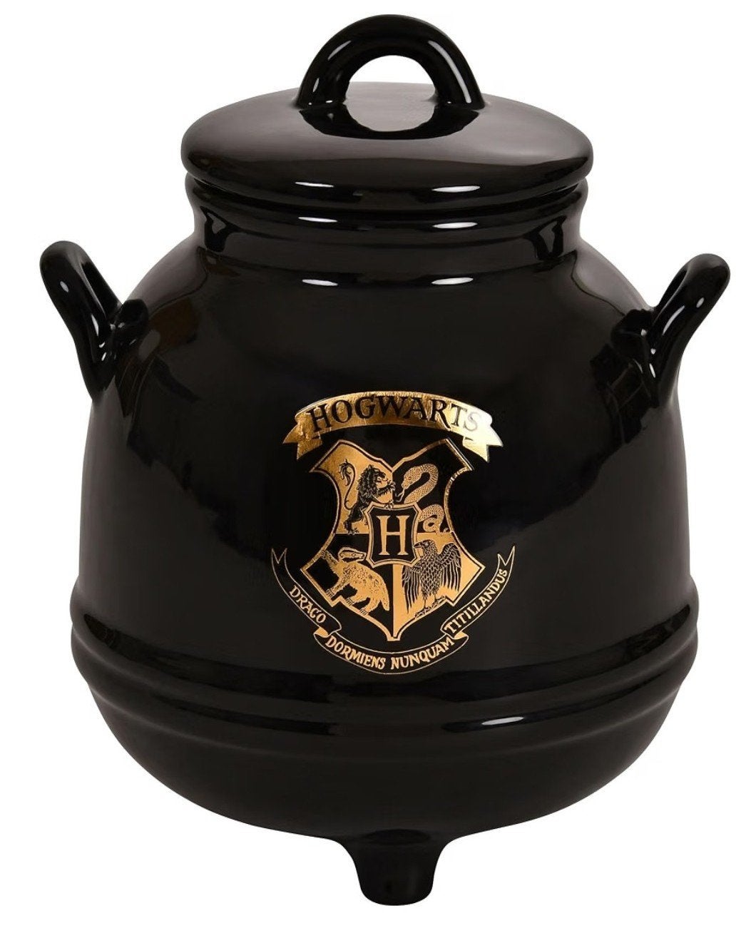 Harry Potter Ketel, zgan - leuk als opbergpot, Verzamelen, Ophalen, Zo goed als nieuw, Gebruiksvoorwerp