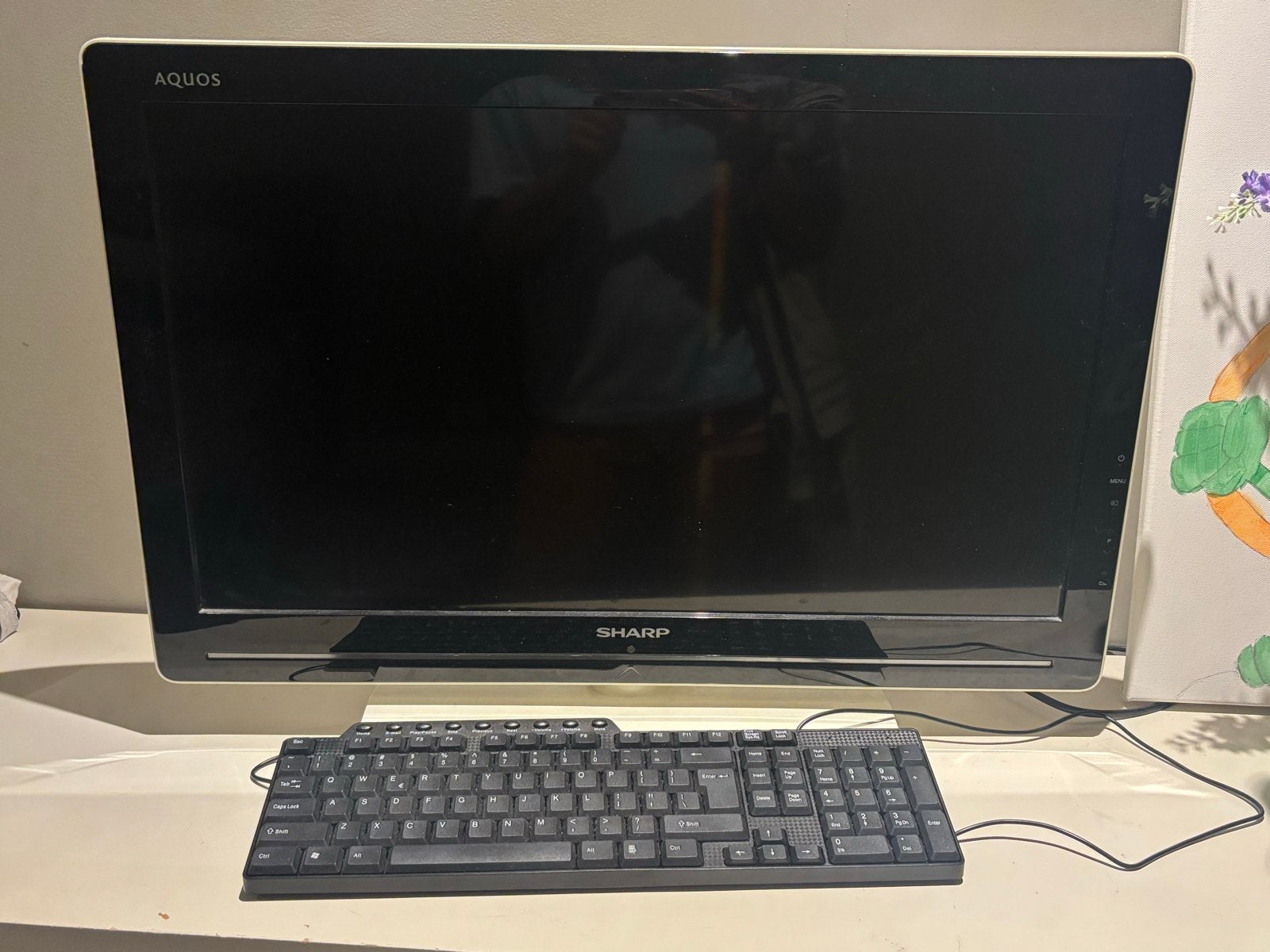 Sharp AQUOS LCD TV - Perfect voor kleine ruimtes, 50 Hz, Ophalen of Verzenden, Zo goed als nieuw, Sharp