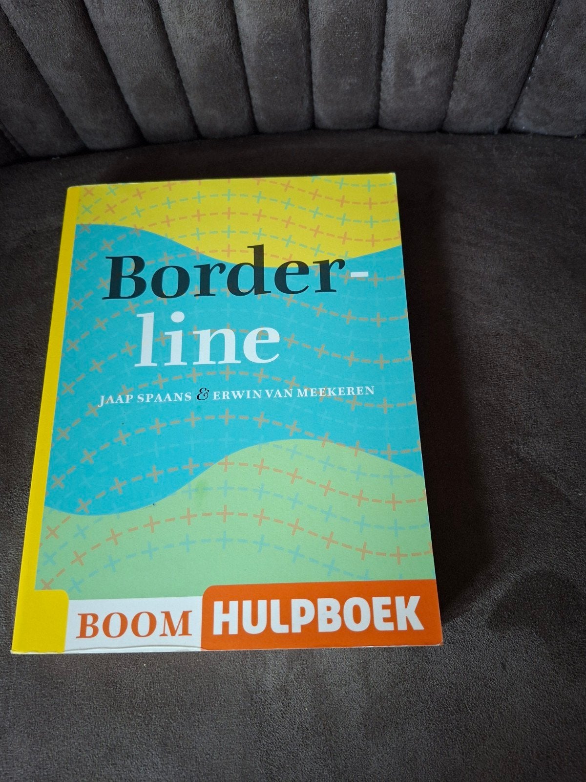Borderline: Boom Hulpboek - Jaap Spaans & Erwin van Meekeren, Ophalen of Verzenden, Zo goed als nieuw, Klinische psychologie, Jaap Spaans & Erwin van Meekeren