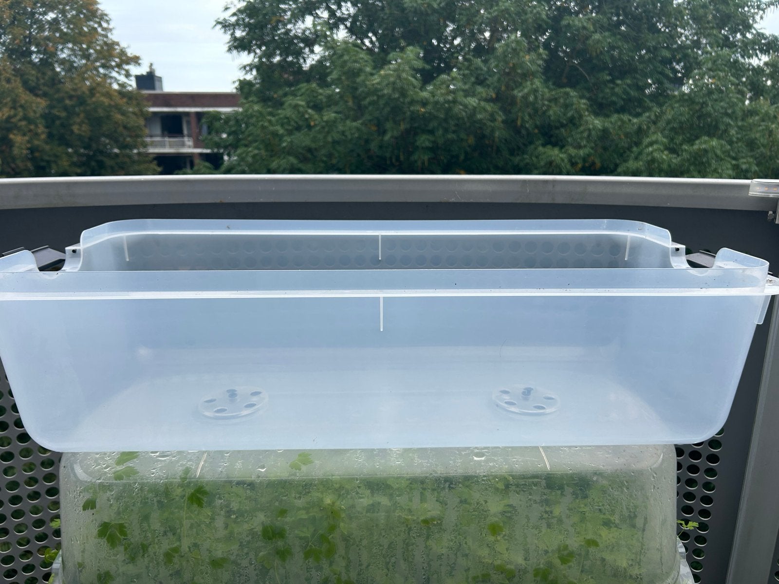 Elho Greens basics kweekhuis XXL 75 - deksel voor kweektafel, Ophalen, Kunststof, Minder dan 30 cm, Balkon