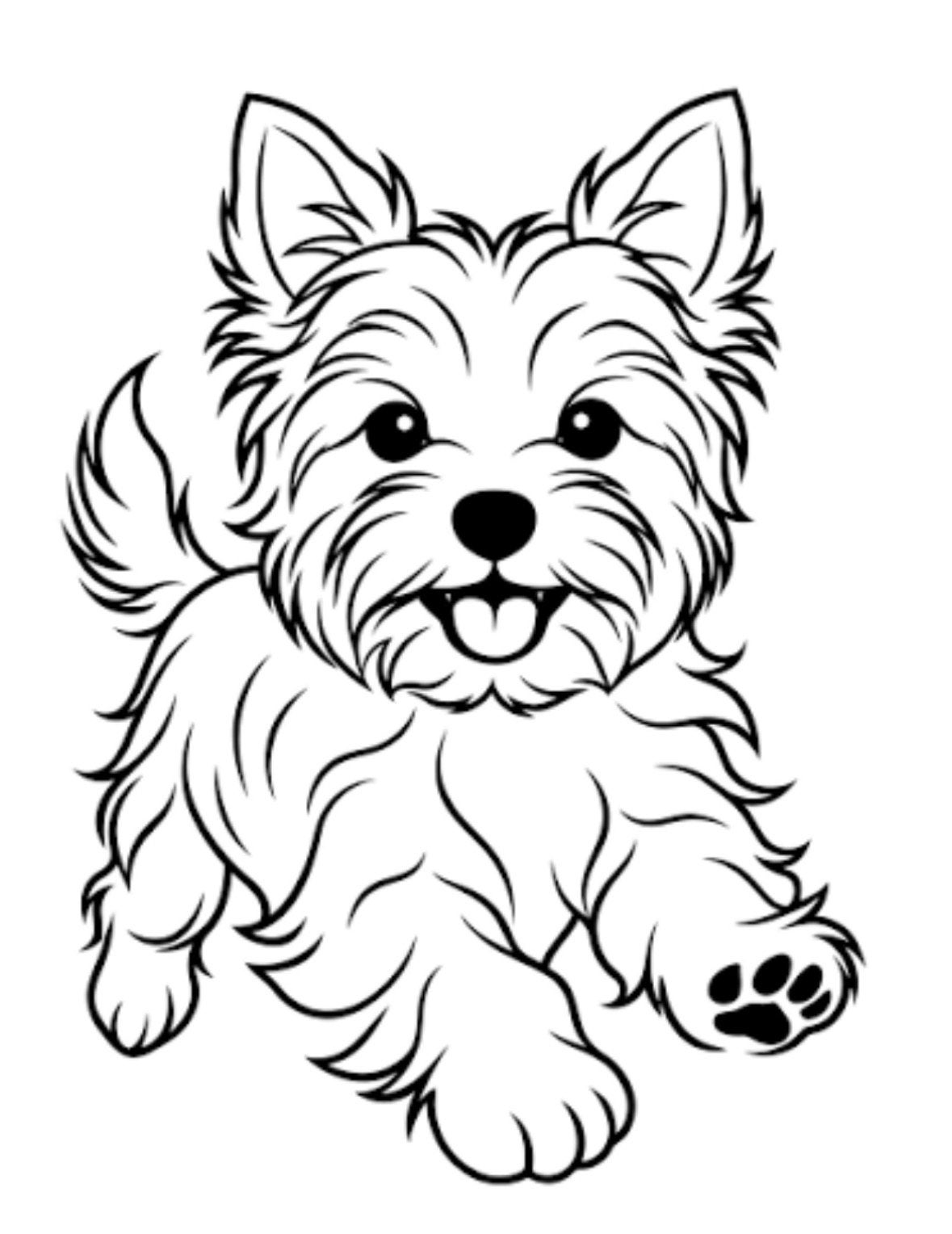 Oppas hond gezocht Yorkshire terrier., Ophalen, Minder dan 75 cm