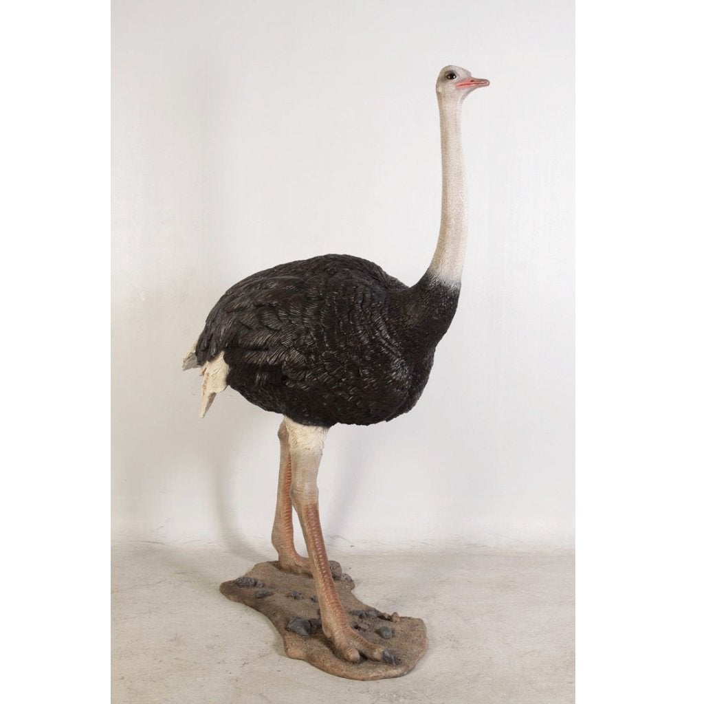 Ostrich beeld – Struisvogel Hoogte 213 cm, Verzamelen, Dierenverzamelingen, Ophalen, Nieuw, Overige typen