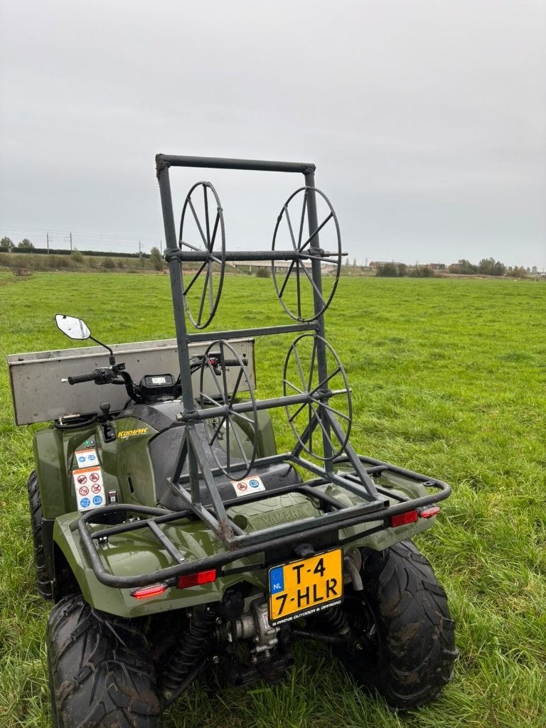 schrikdraad opwinder, Mannelijk, Schaap