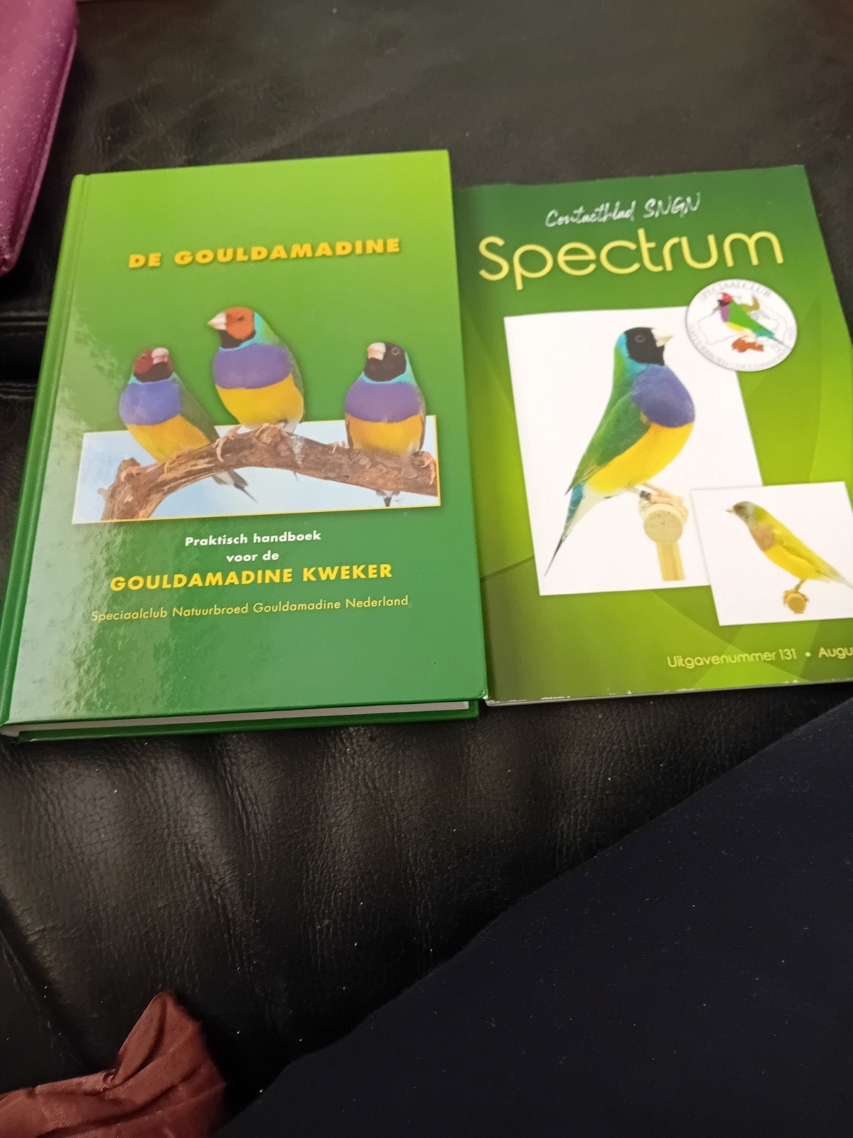 Nog z.g.a.n mooie DE GOULDAMADINE boek, Ophalen, Zo goed als nieuw