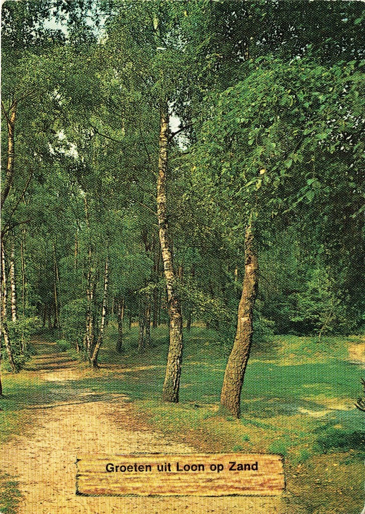 Ansichtkaart Loon Op Zand, Verzenden, 1960 tot 1980, Ongelopen, Noord-Brabant