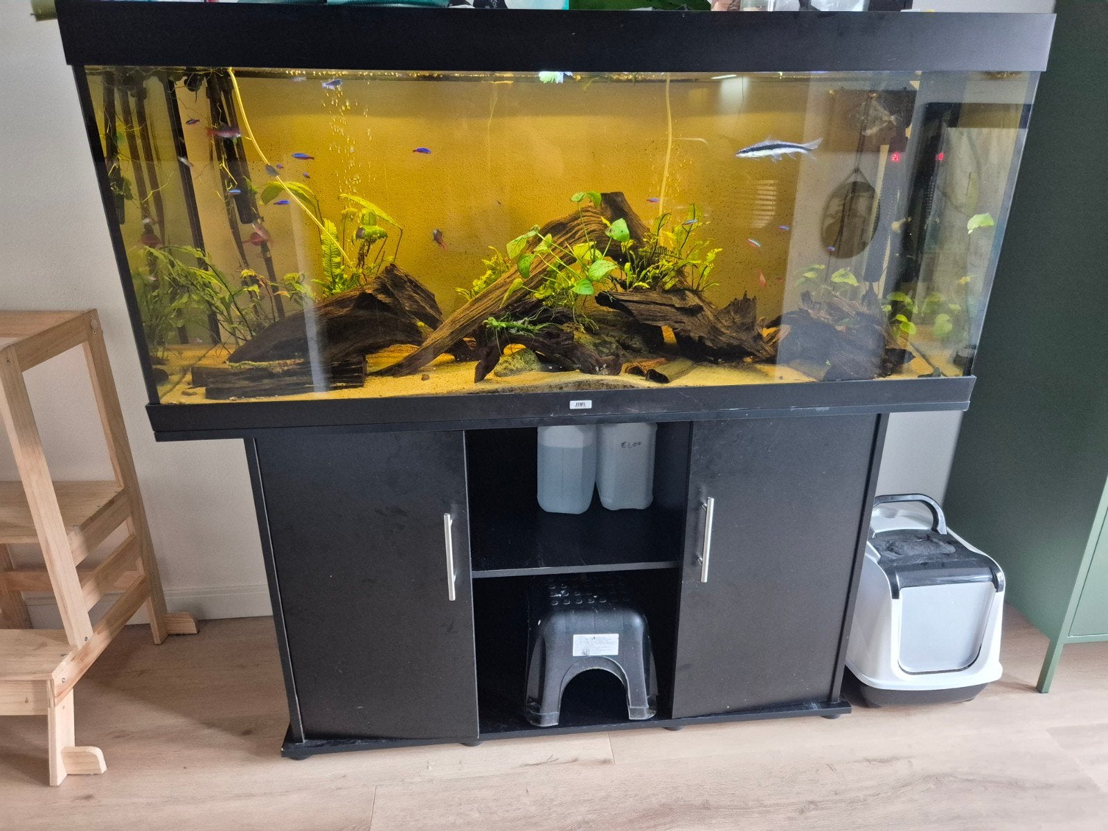 juwel aquarium 150x50x60 compleet!!, Ophalen, Gebruikt, Inclusief vissen, Gevuld zoetwateraquarium