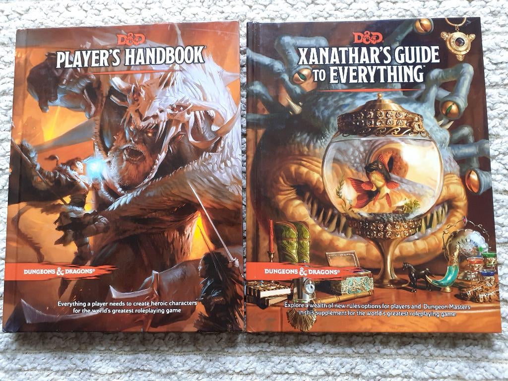 D&D boeken, Ophalen of Verzenden, Zo goed als nieuw
