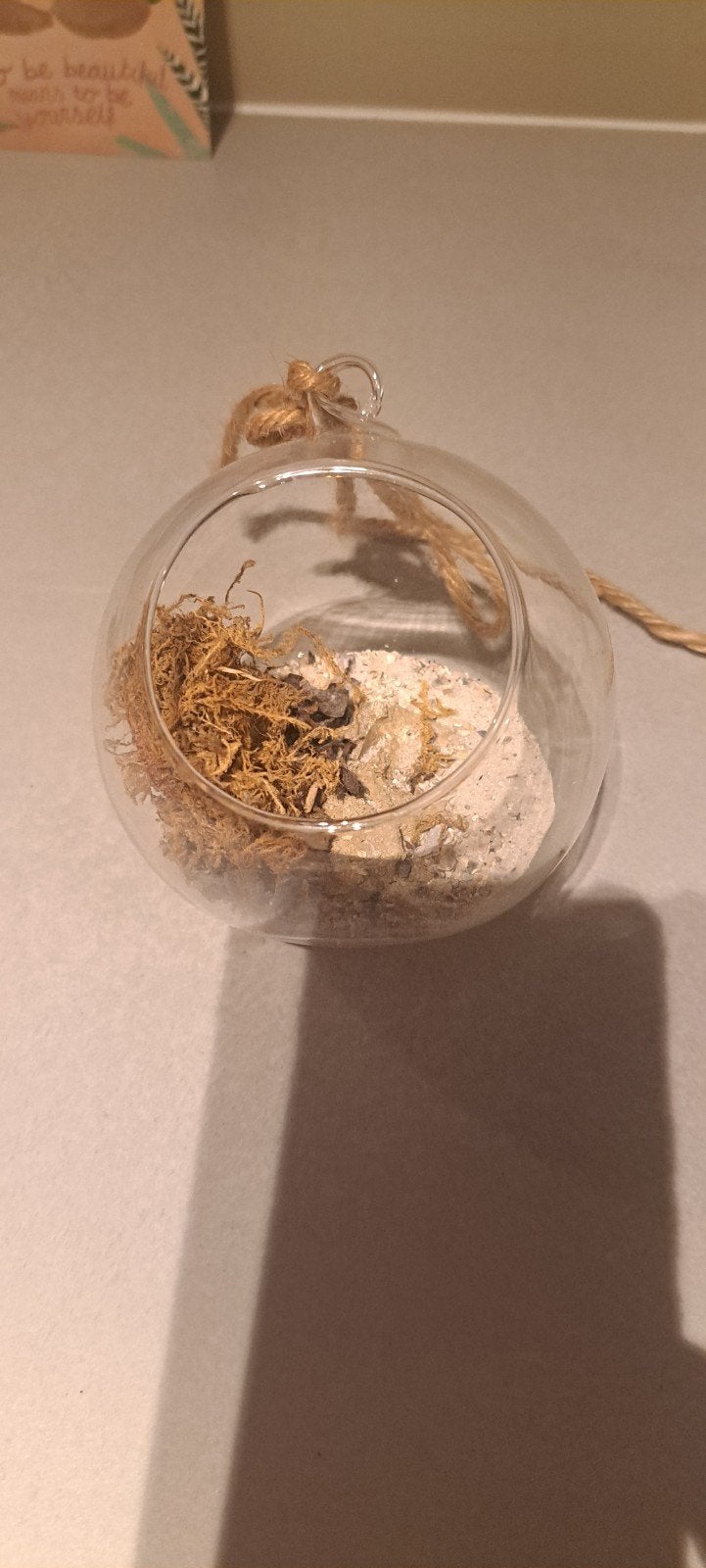 Glazen terrarium / hangend bloempotje voor mos, Ophalen of Verzenden, Gebruikt, Glas