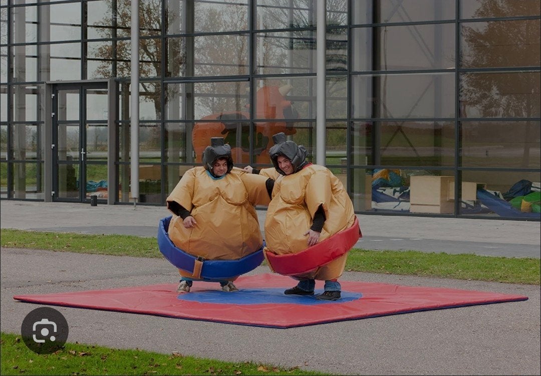 Sumo Worstelen te koop, Ophalen, Gebruikt