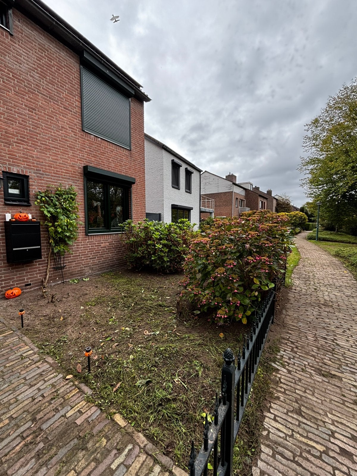 Tuin beplanting: 3x Rhododendron en 3x Hortensia, Vaste plant, Halfschaduw, Zomer, Ophalen