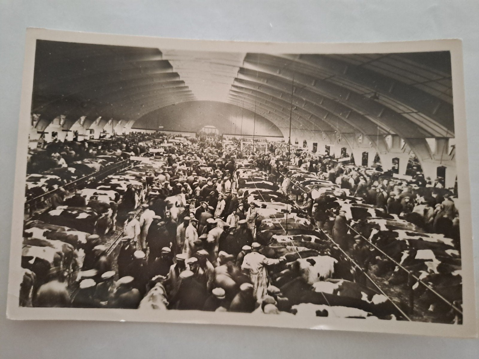 s Hertogenbosch veemarkt, Ophalen of Verzenden, Noord-Brabant
