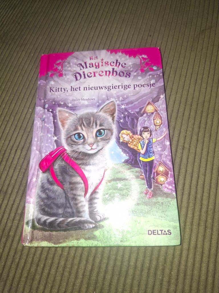 Daisy Meadows - Kitty, het nieuwsgierige poesje, Boeken, Daisy Meadows, Fictie algemeen, Ophalen of Verzenden, Zo goed als nieuw